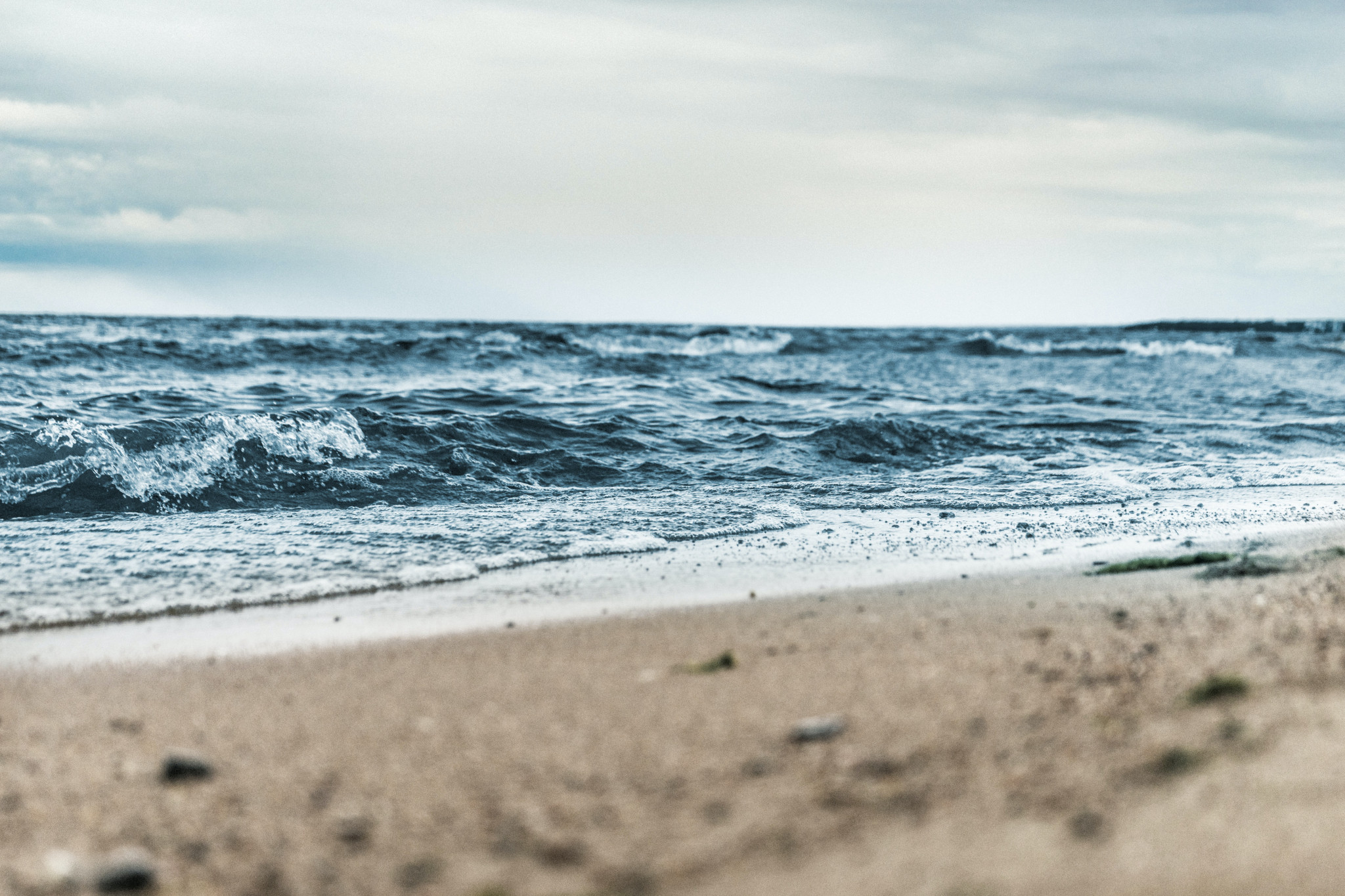 Strandkant, Östersjön.