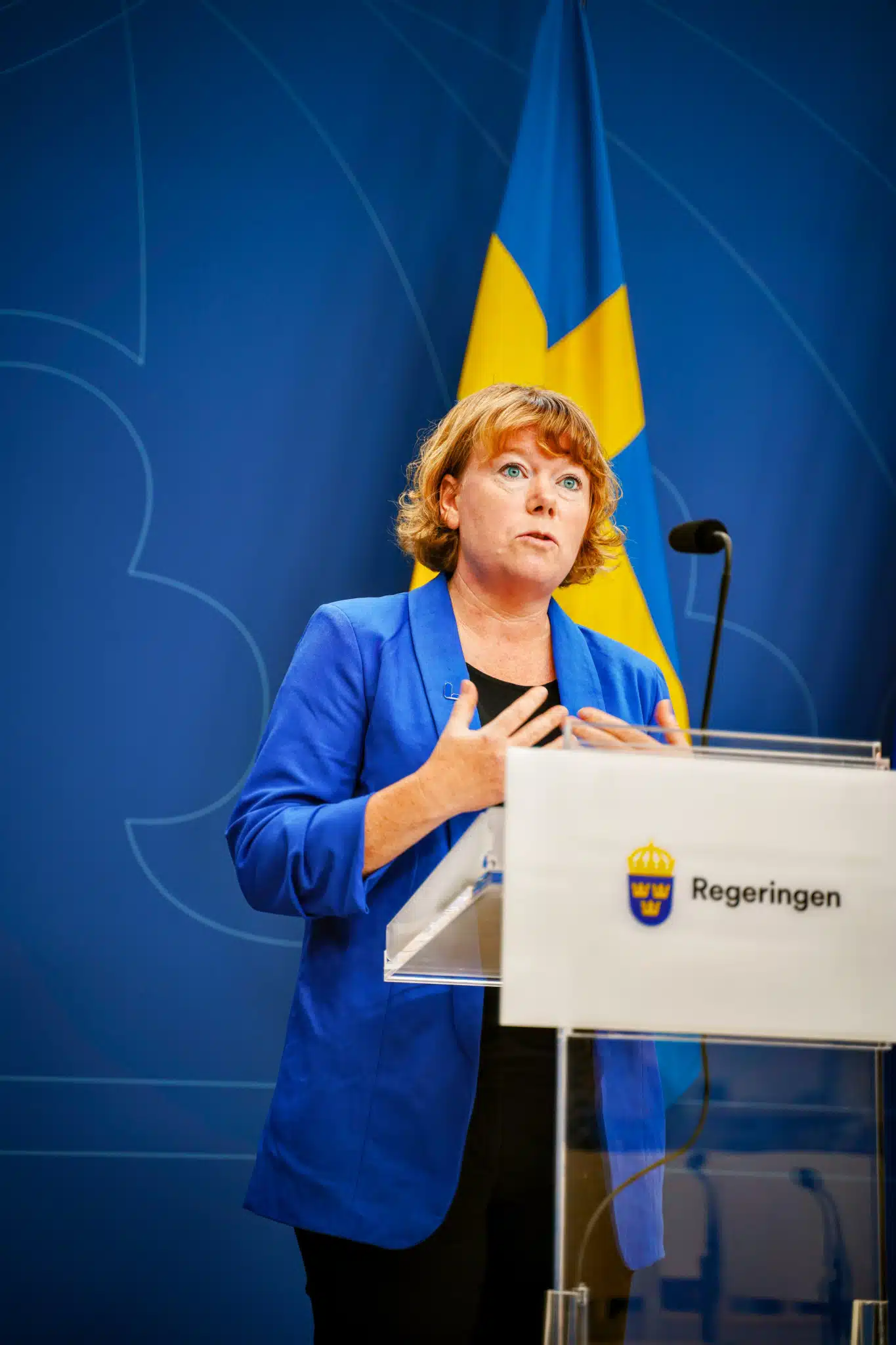 Malin Danielsson berättar om personlig assistans.
