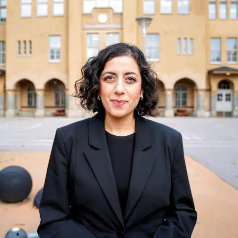 Regeringen tillsätter utredning för att stärka det svenska språkets ställning