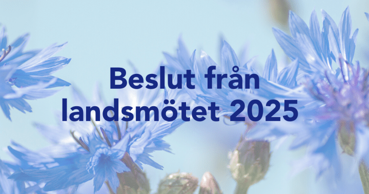 Beslut från Landsmötet