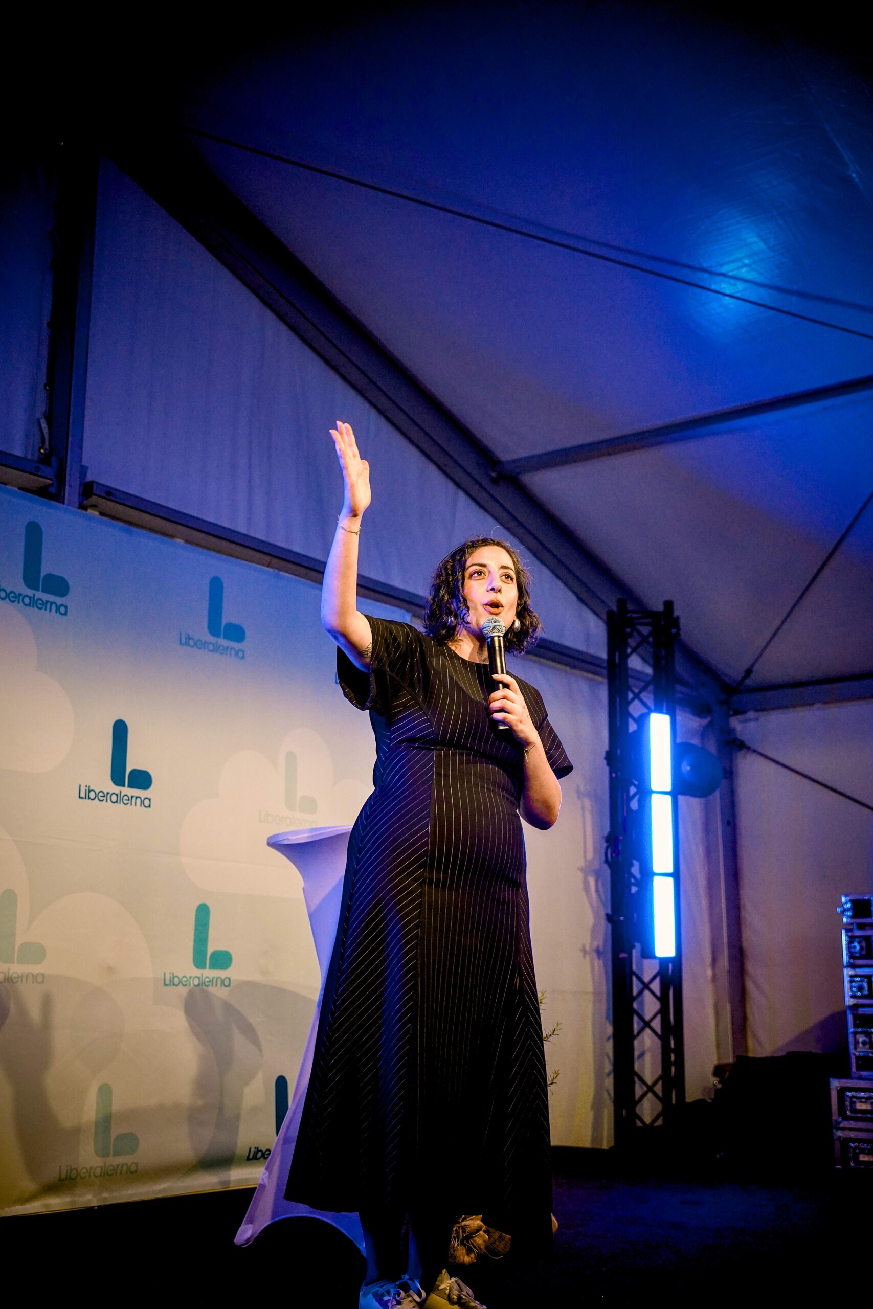 Simona Mohamsson – Liberalerna